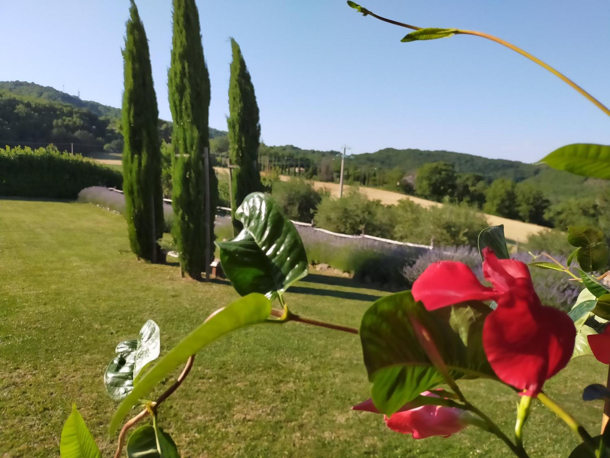 Suite Assisi Bagian luar foto